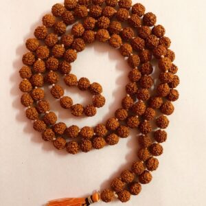 ​Rudraksh Mala